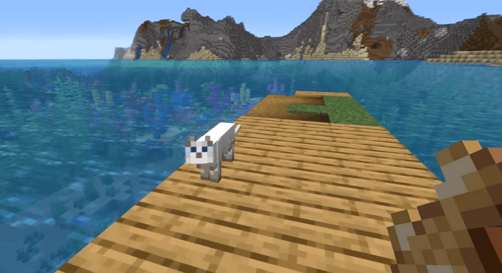 cat in minecraft